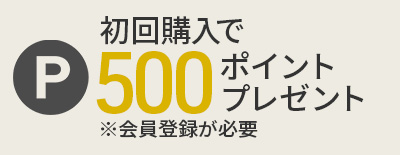 500ݥȥץ쥼