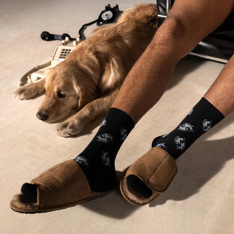 SAXX / Whole Package Socks